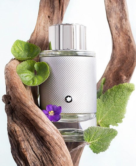 Mont Blanc Explorer Platinum Edp 3.3oz Spray – Alberto Cortes
