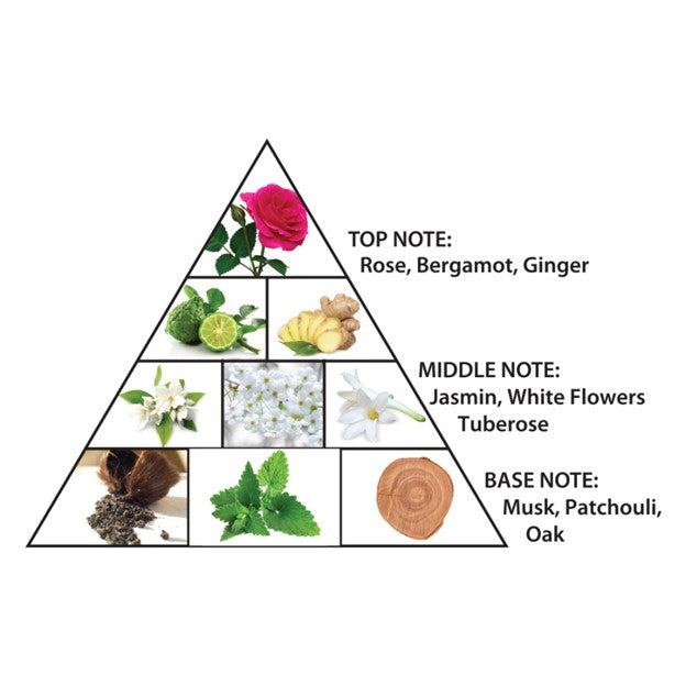 Amber Oud Ultra Violet For Women Edp Spray – Alberto Cortes