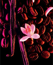 Black Opium Edp 5.0oz Spray