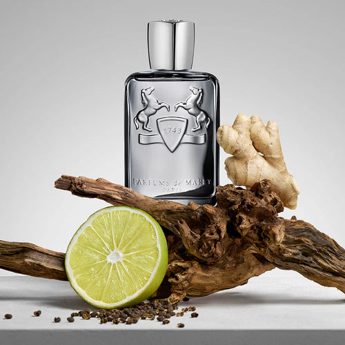 Castley Eau de Parfum 4.2oz Spray For Men