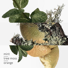 Eau D'orange Verte Edc 13.5oz Splash & Spray For Men
