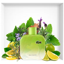Lacoste Pour Lui Eau Fraiche Edt 5.9oz Spray