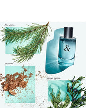 Tiffany Love For Him Edt 1.6oz Spray