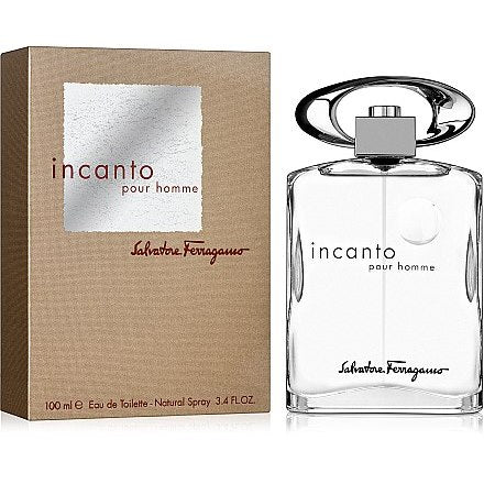 Incanto Pour Homme Edt 3.4oz Spray